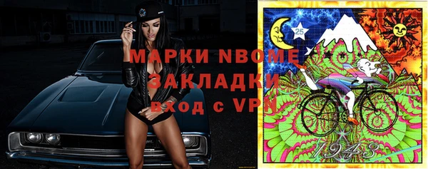 ешки Алексин