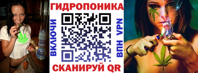 Бошки марихуана ГИДРОПОН  как найти   Бабаево 